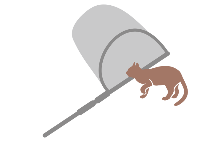 そっと猫に近づく