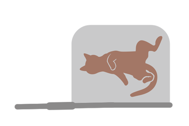 口元がしっかり閉じる